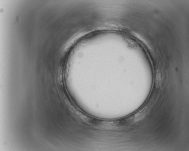 X0000086331455200704271930