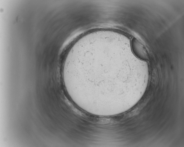 X0000086331456200704271930