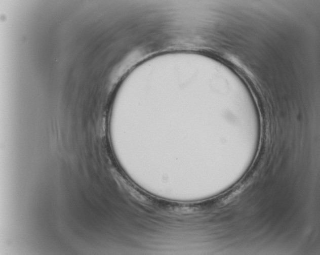 X0000086331459200704271930