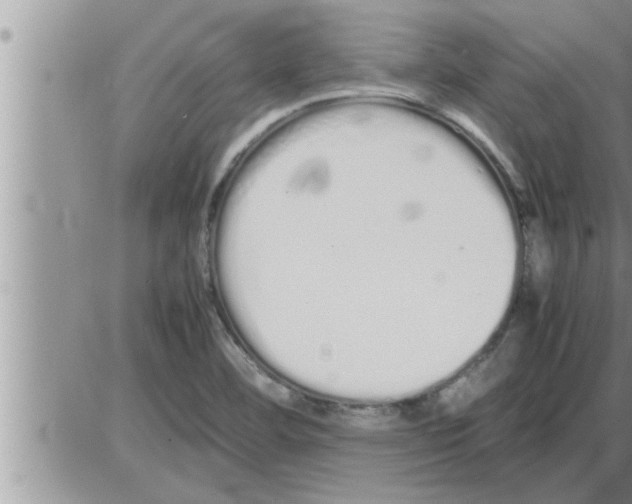 X0000086331460200704271930