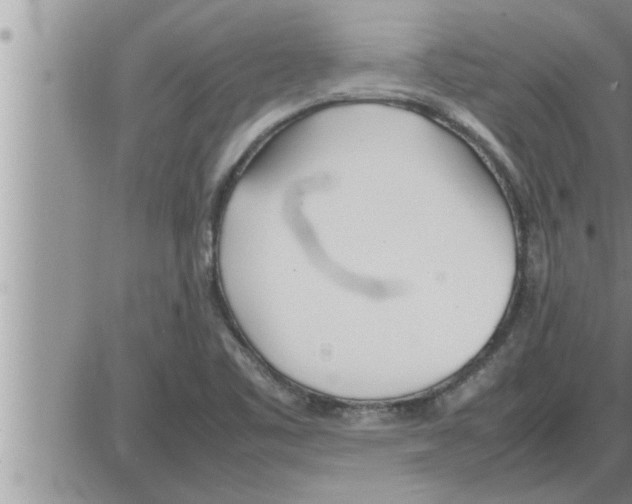 X0000086331461200704271930