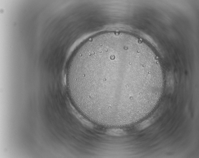 X0000086331462200704271930