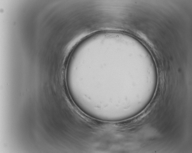 X0000086331463200704271930