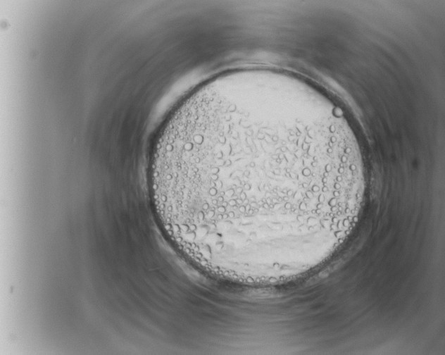 X0000086331464200704271930