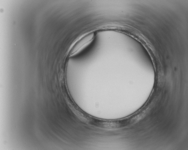 X0000086331465200704271930