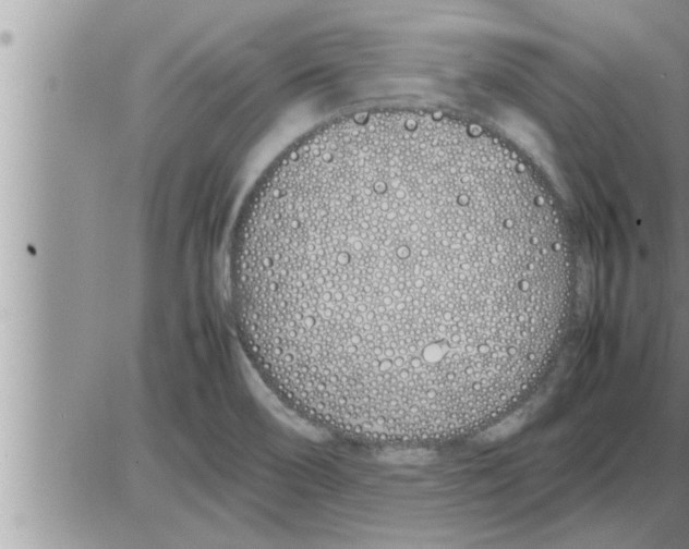 X0000086331466200704271930