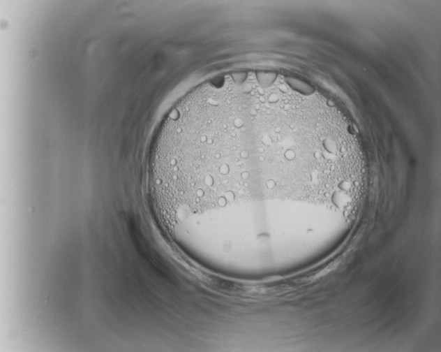 X0000086331467200704271930