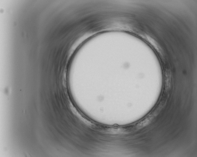 X0000086331468200704271930