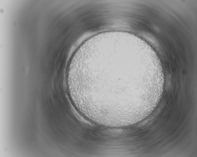 X0000086331470200704271930