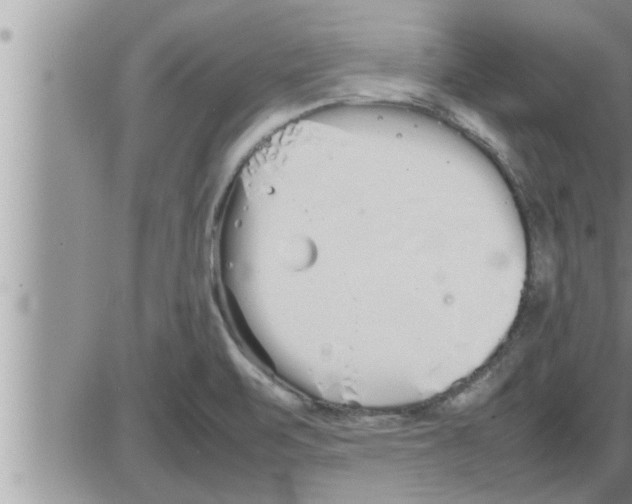 X0000086331471200704271930