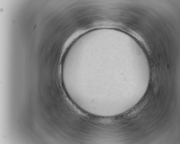 X0000086331472200704271930