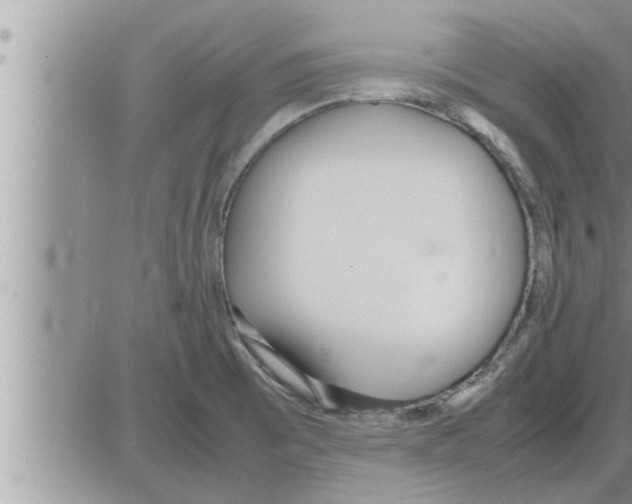 X0000086331473200704271930