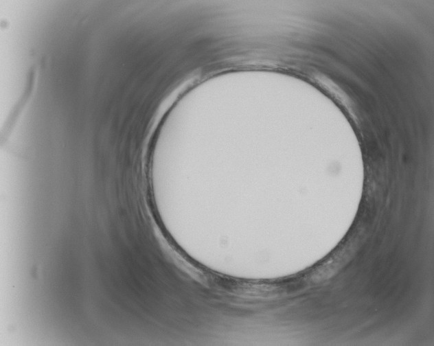 X0000086331475200704271930