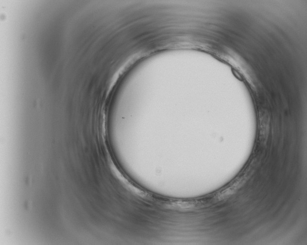 X0000086331476200704271930