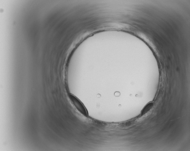 X0000086331477200704271930