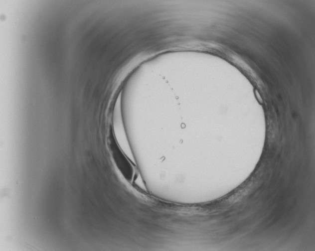 X0000086331479200704271930