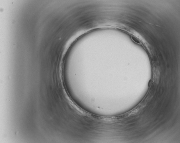 X0000086331480200704271930