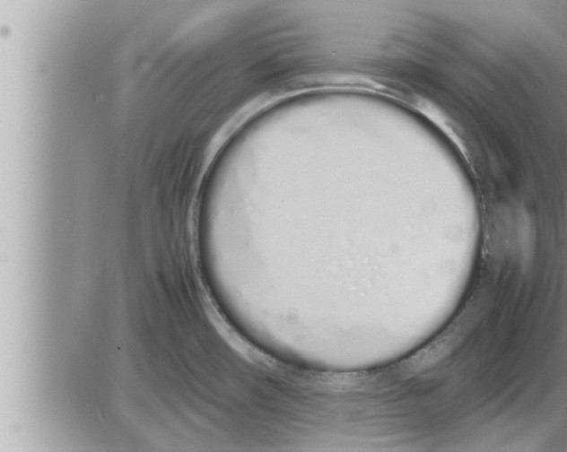 X0000086331482200704271930