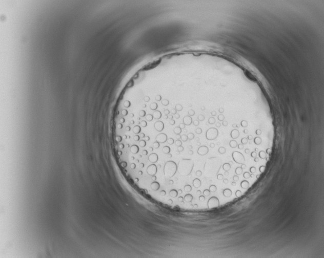 X0000086331483200704271930