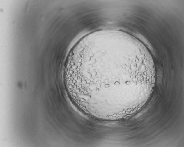 X0000086331484200704271930