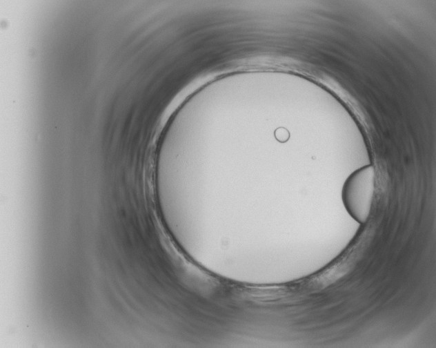 X0000086331486200704271930