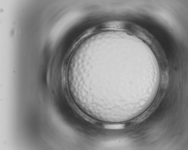 X0000086331487200704271930