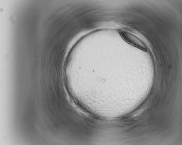 X0000086331488200704271930