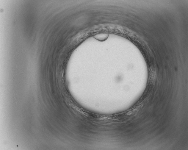 X0000086331489200704271929