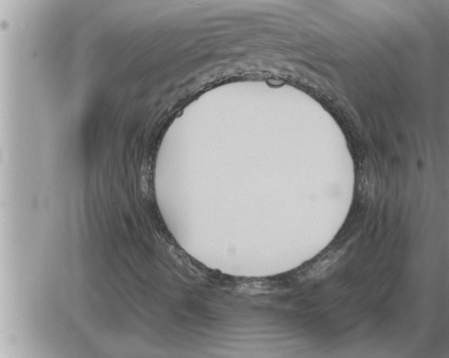 X0000086331490200704271929