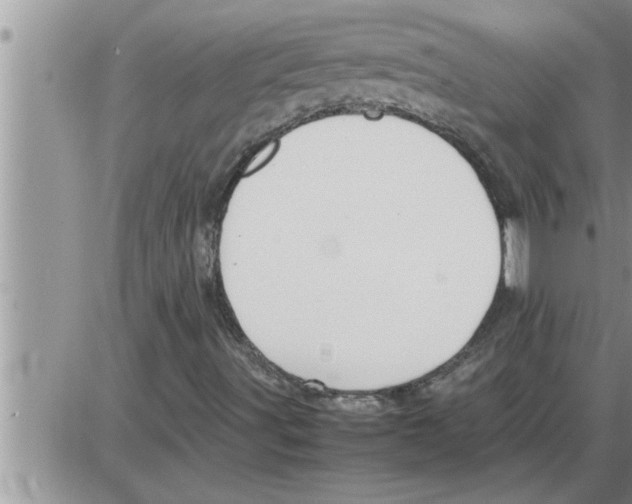 X0000086331491200704271929