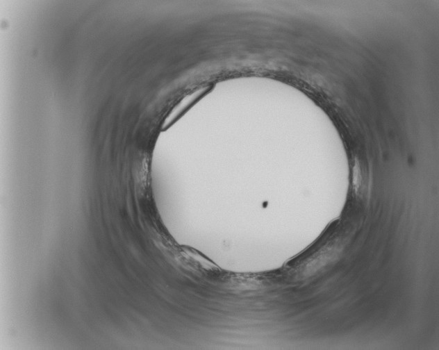 X0000086331492200704271929