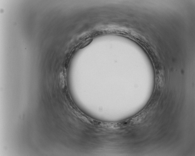 X0000086331493200704271929