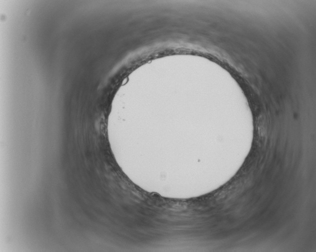 X0000086331495200704271929