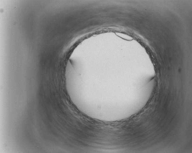 X0000086331496200704271929