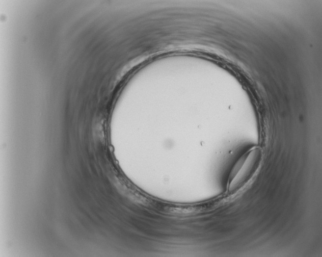 X0000086331497200704271929