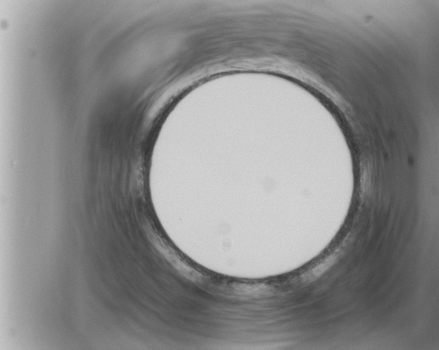 X0000086331498200704271929