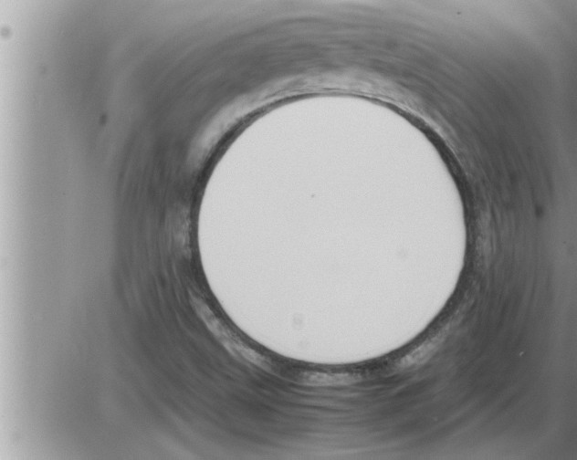 X0000086331499200704271929