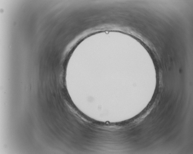 X0000086331502200704271929