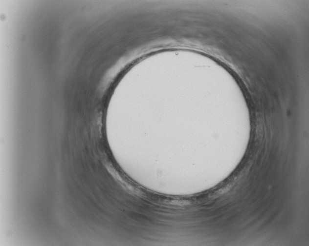 X0000086331503200704271929