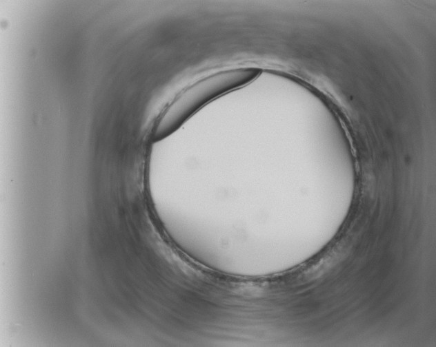 X0000086331504200704271929