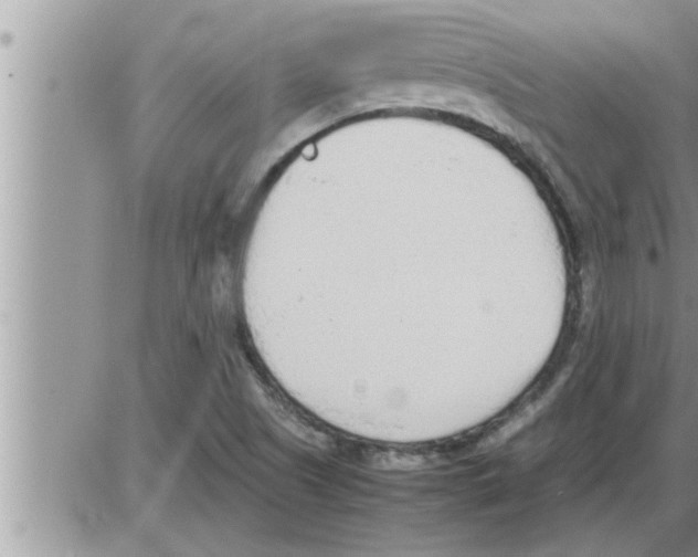 X0000086331505200704271929