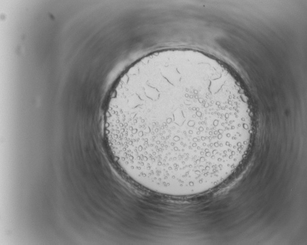 X0000086331509200704271929