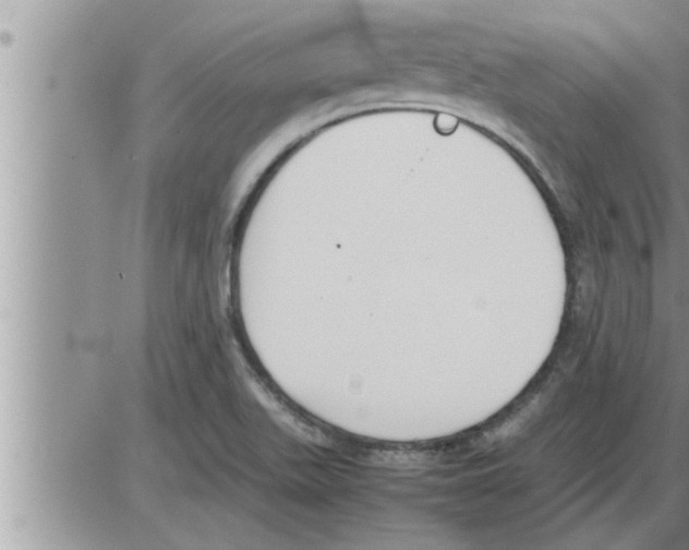 X0000086331511200704271929