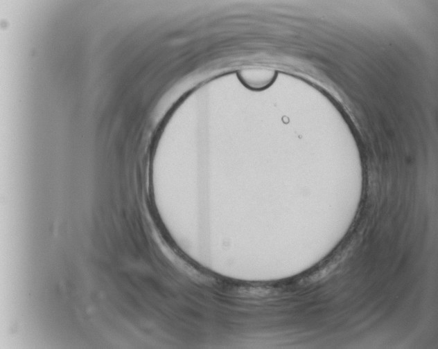 X0000086331515200704271929