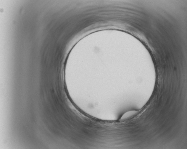 X0000086331516200704271929