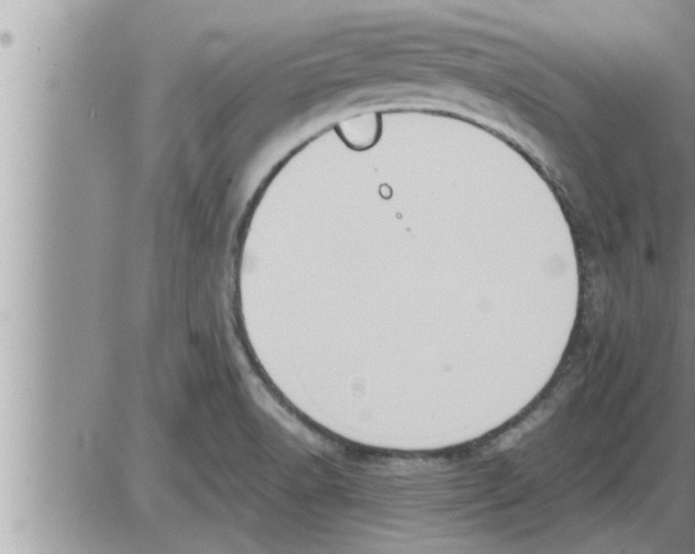 X0000086331518200704271929