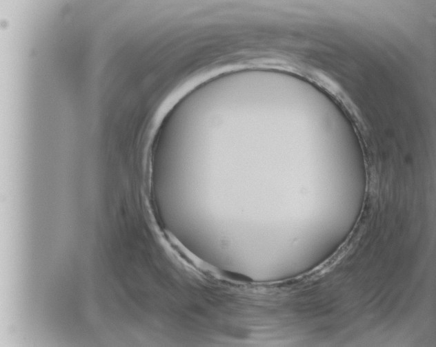 X0000086331520200704271929