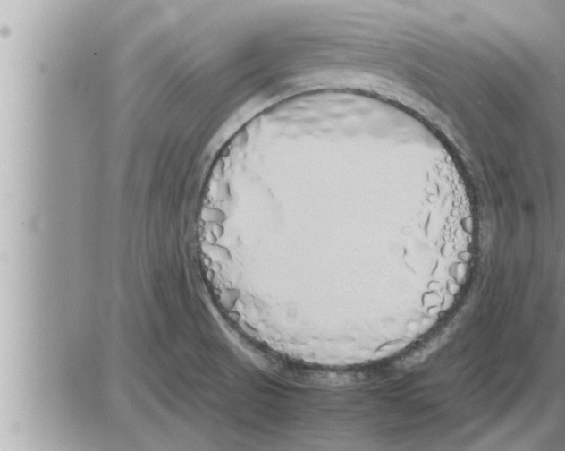 X0000086331521200704271929