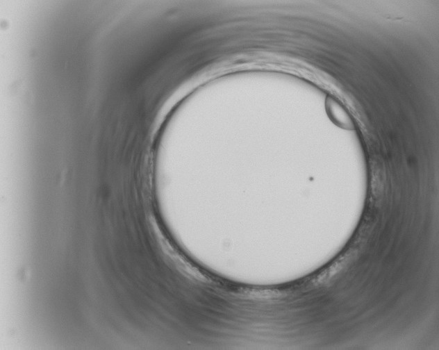 X0000086331522200704271929