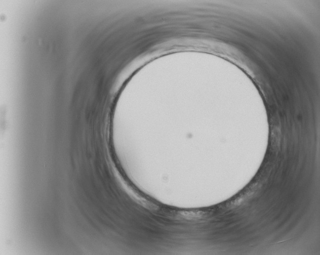 X0000086331523200704271929